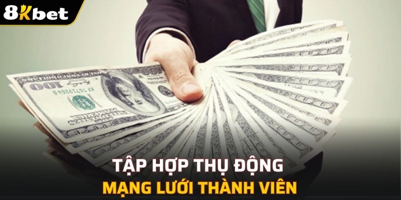 Tập hợp thụ động mạng lưới thành viên
