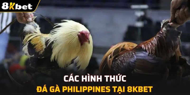 Các hình thức đá gà Philippines tại 8KBET