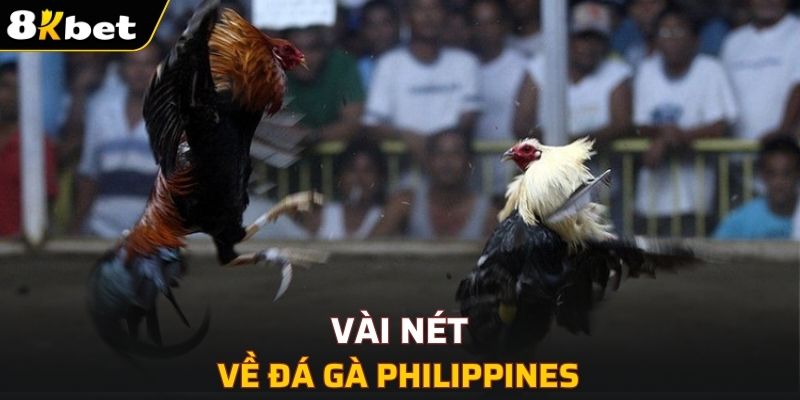 Vài nét về đá gà Philippines