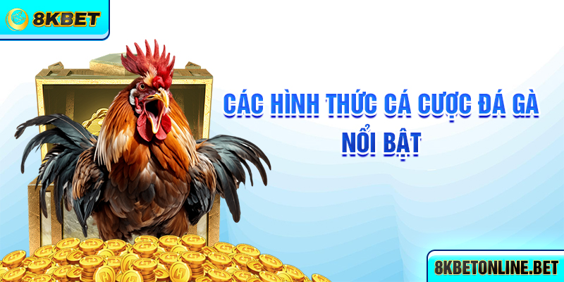 Các hình thức cá cược đá gà nổi bật