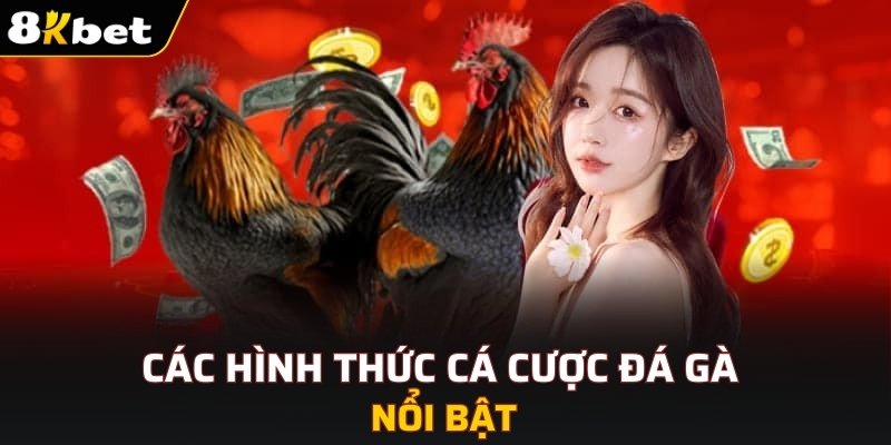 Đánh giá ưu điểm nổi bật của đá gà 8KBET