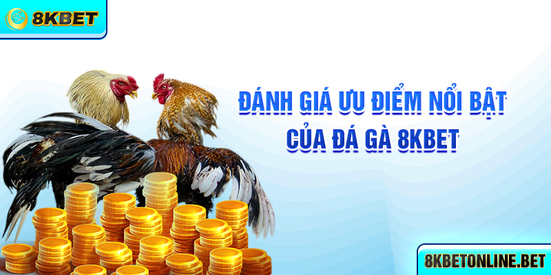 Đánh giá ưu điểm nổi bật của đá gà 8KBET